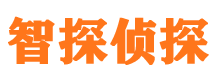 武功市私家侦探